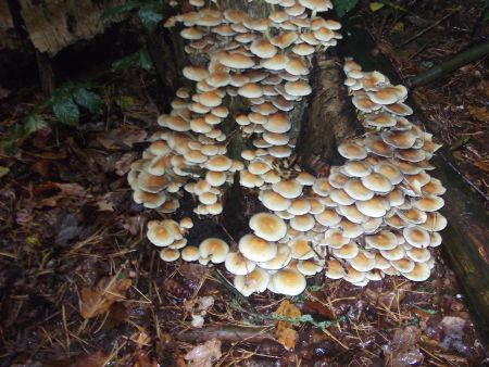 Gezellig met ze alleen