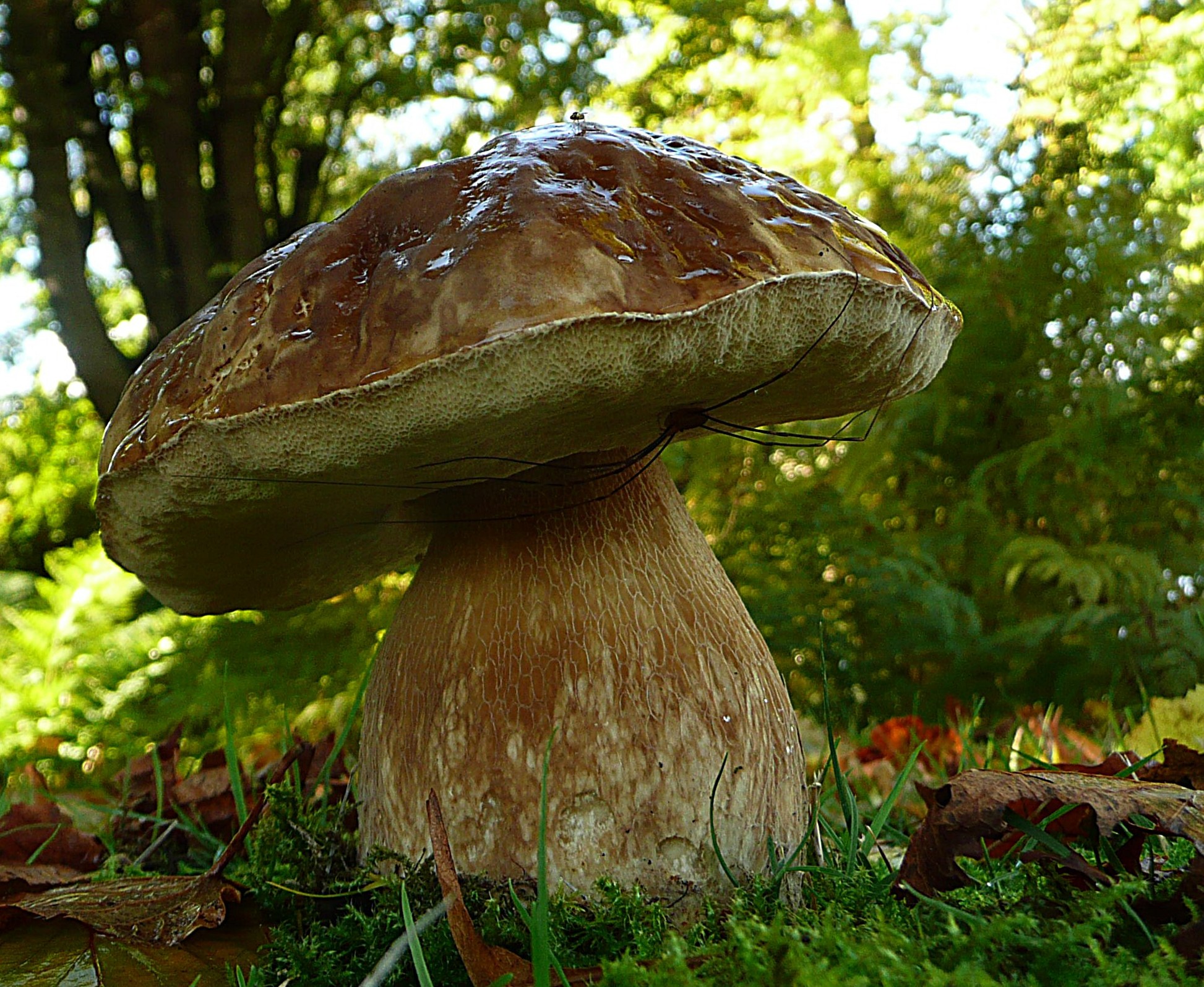 Verstopt maar toch gevonden