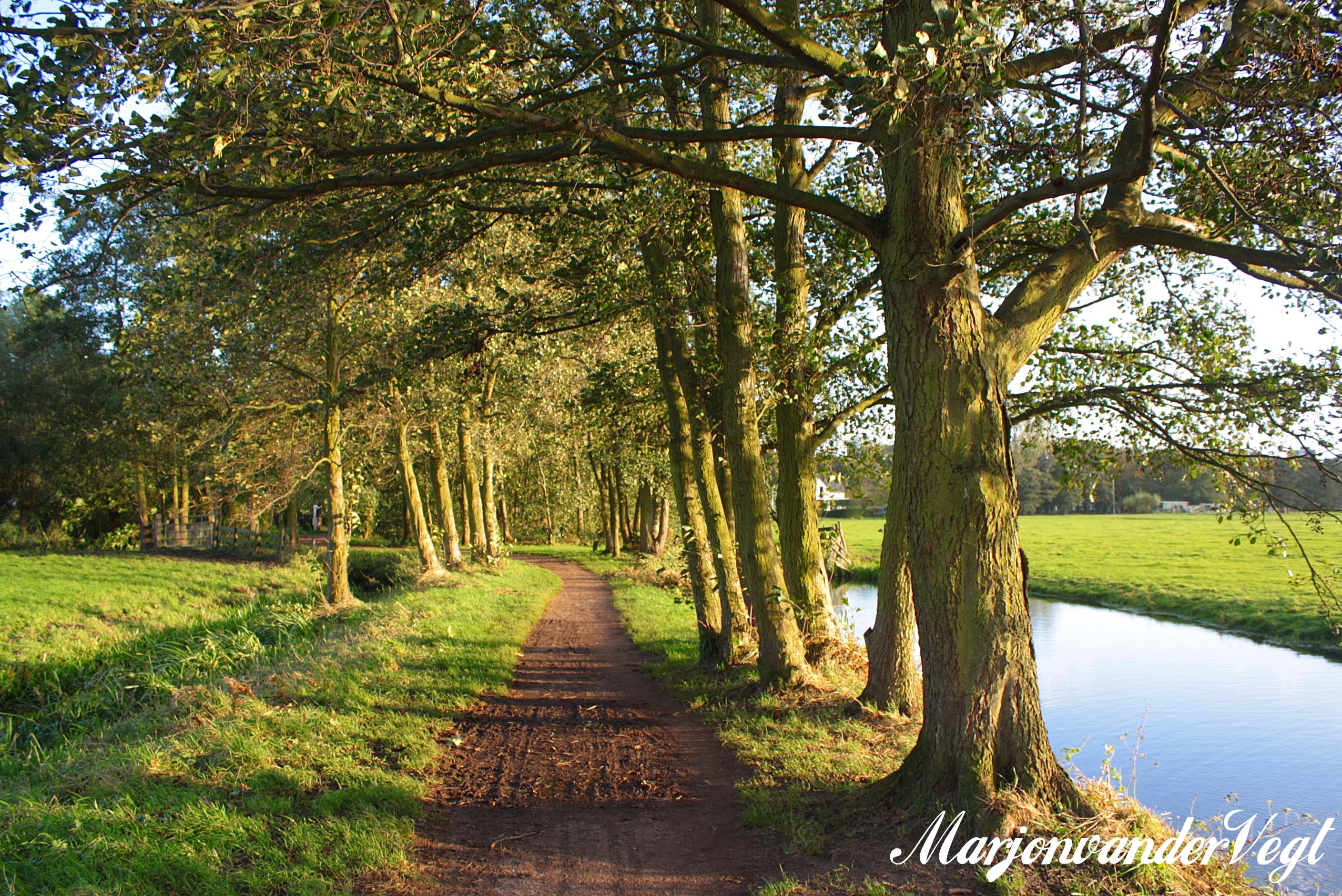 Herfst op z'n mooist