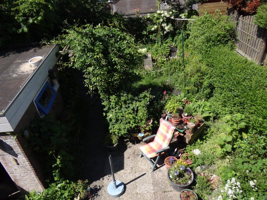 boven aanzicht achtertuin
