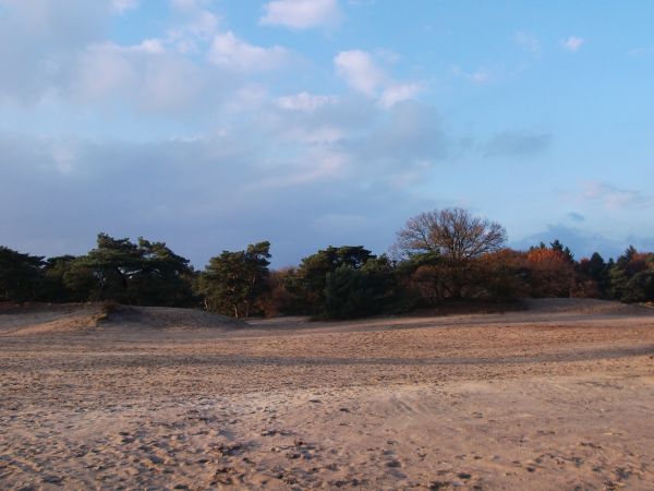 Soester duinen