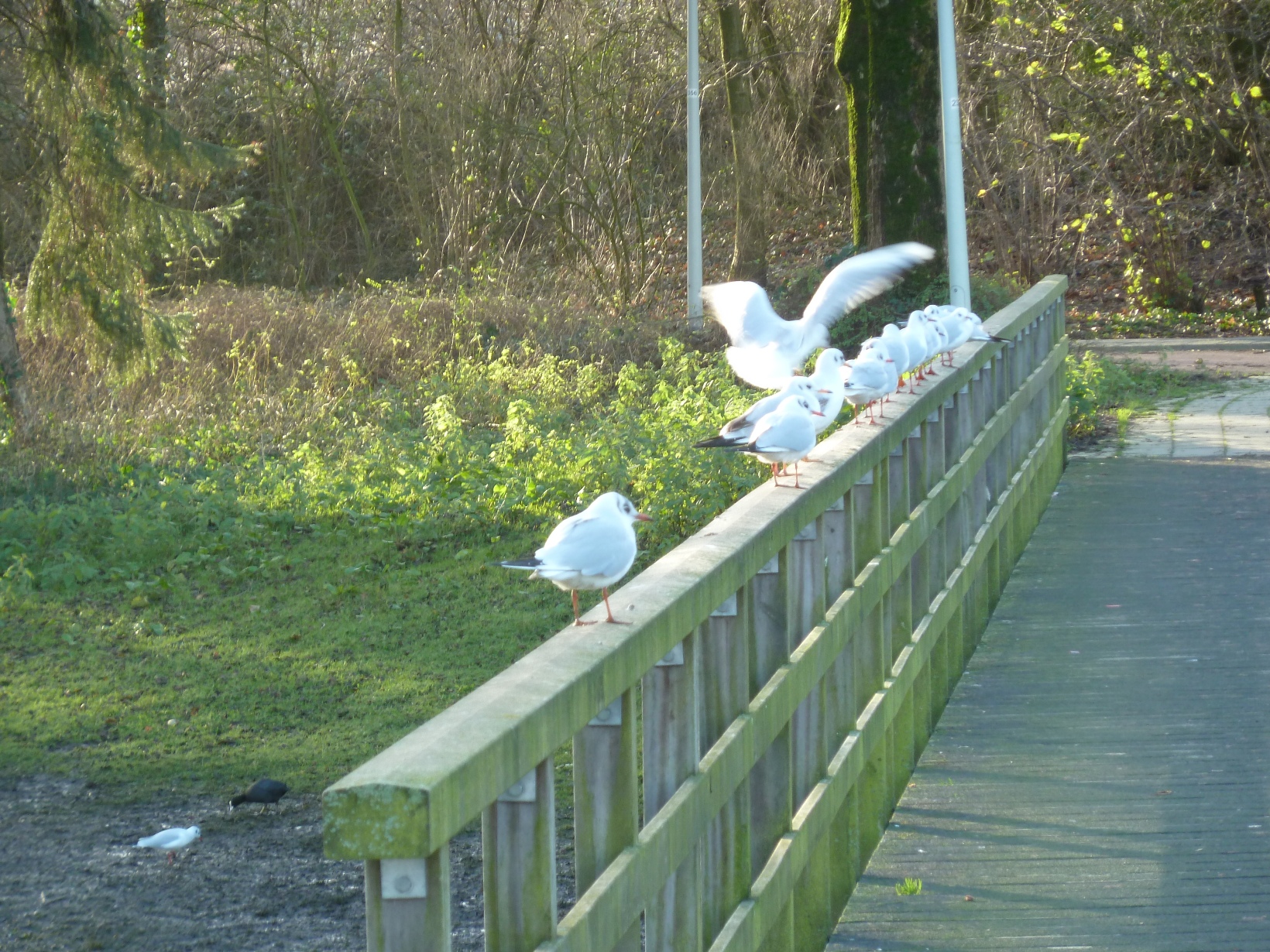 "tis druk op de landingsbaan