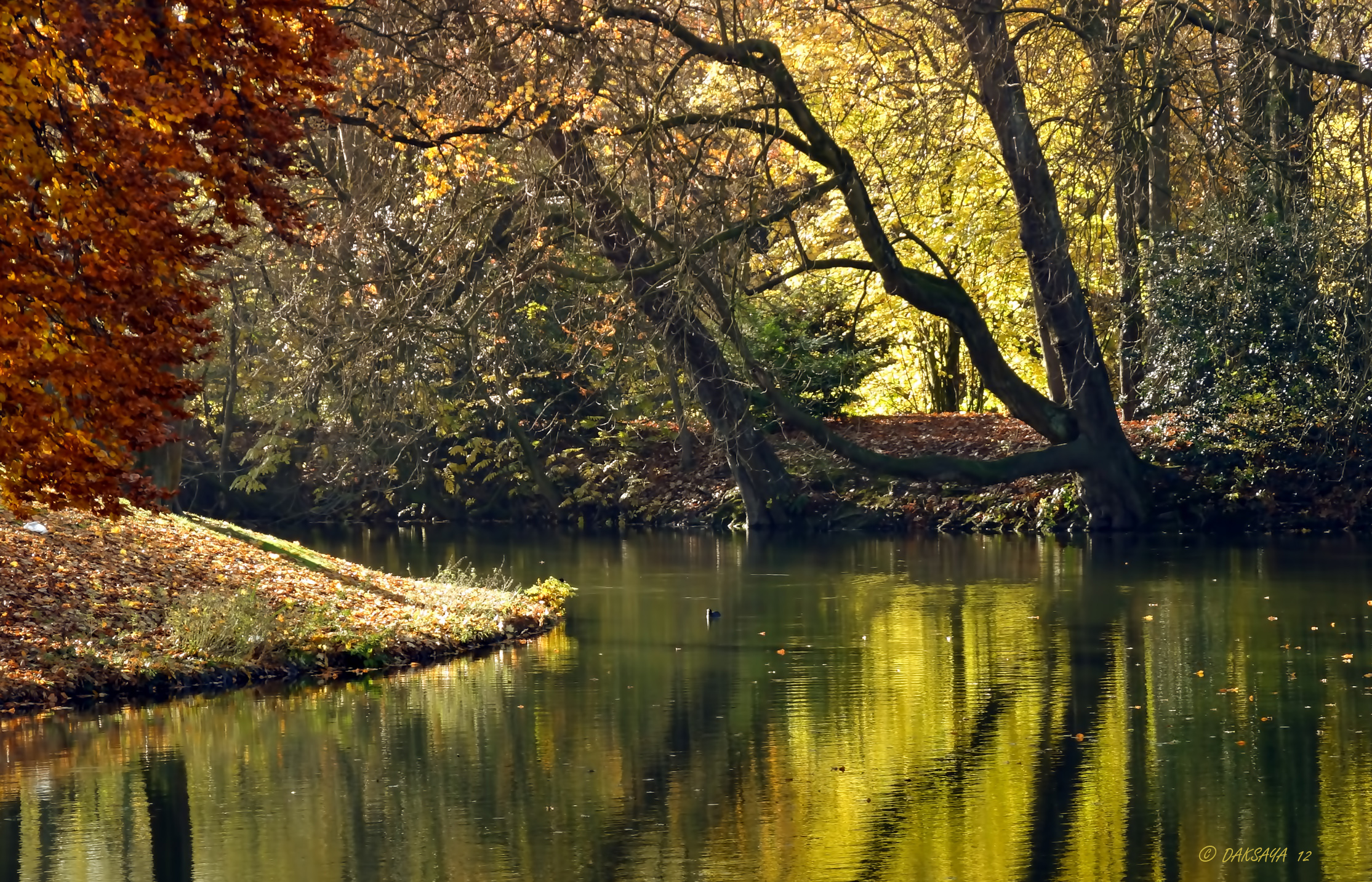 Wilhelminapark 