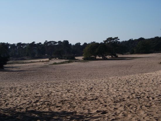 Soesterduinen