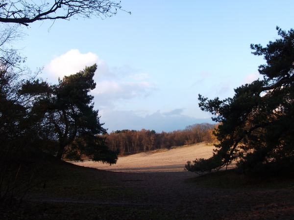 Soester duinen
