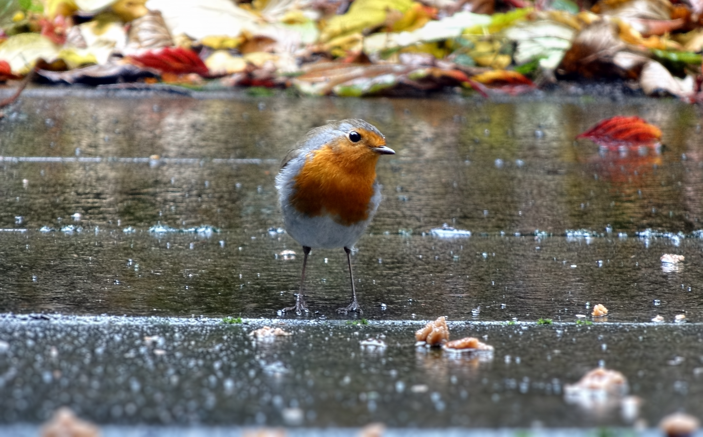 In de regen