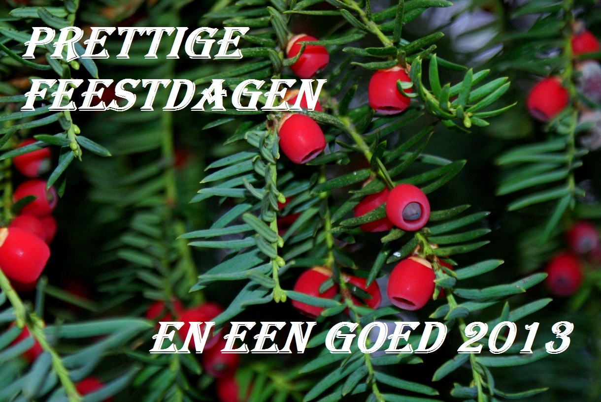 Fijne feestdagen
