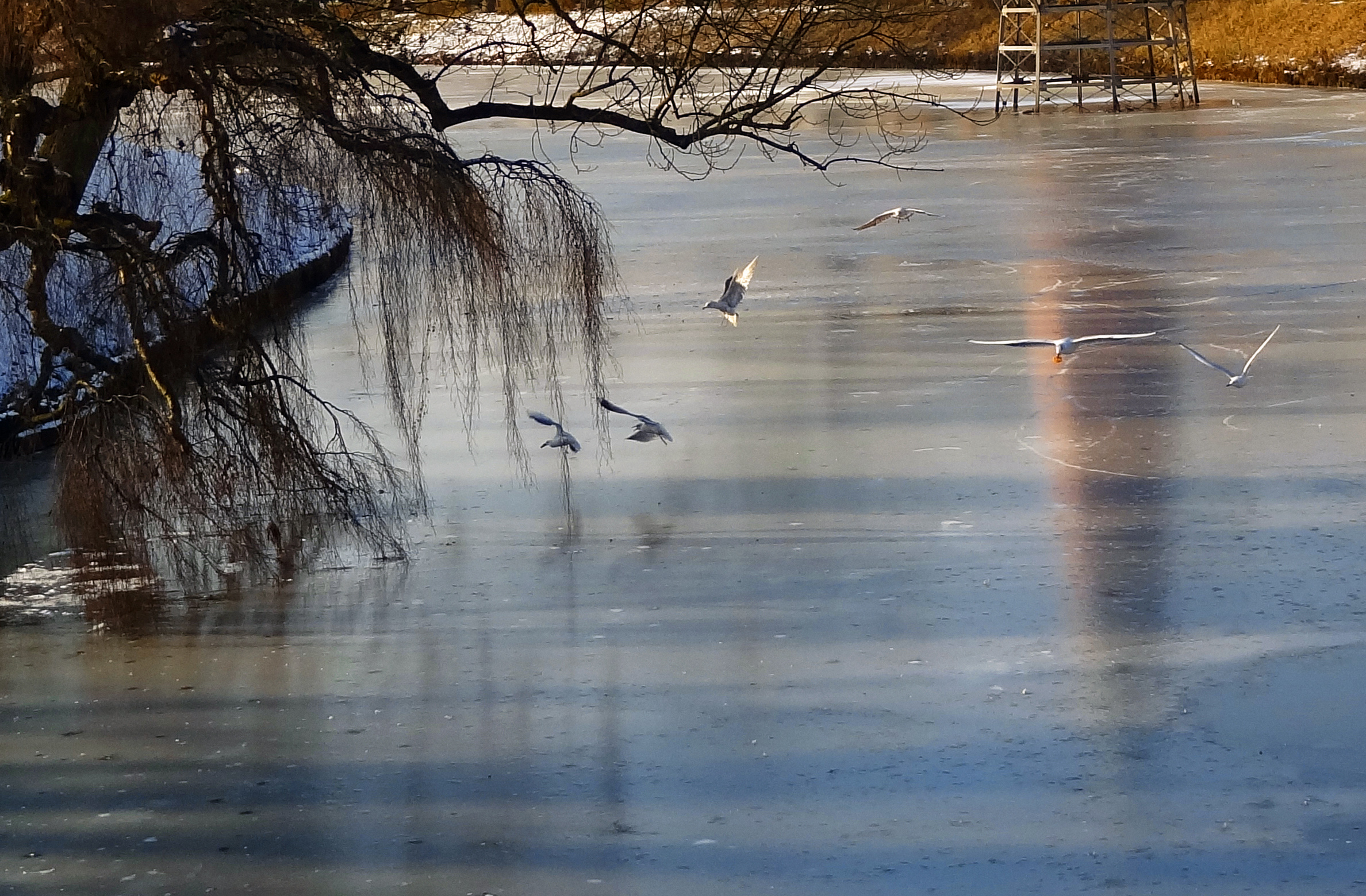 Winterlandschap