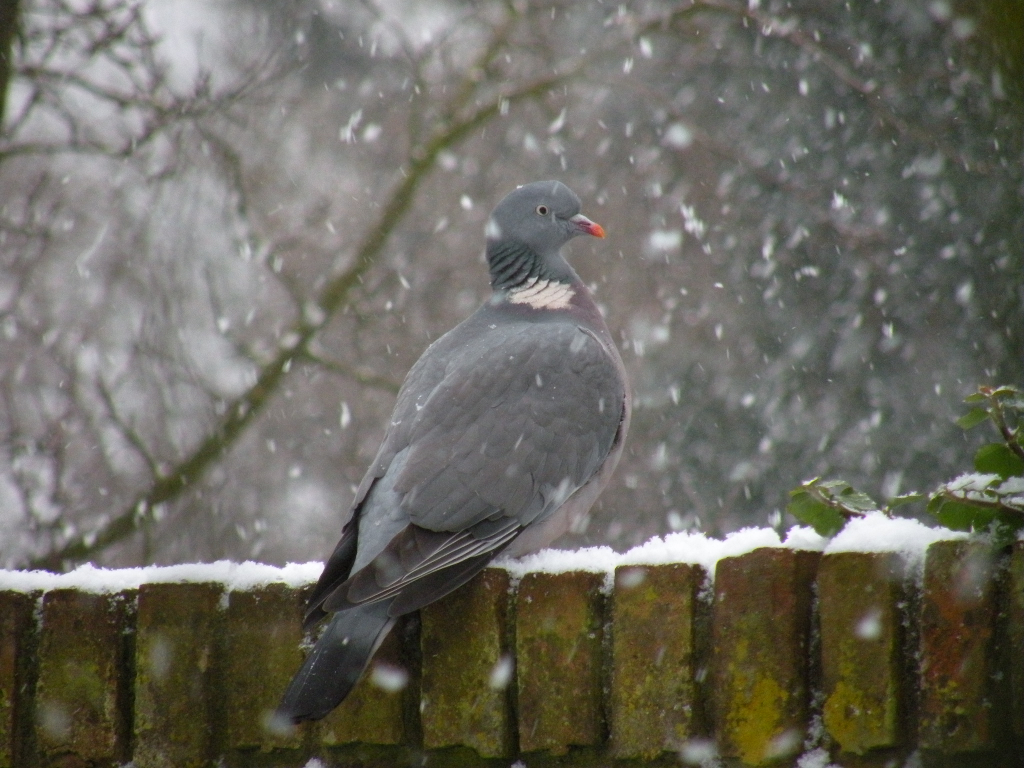 Waar blijft ons eten 1e