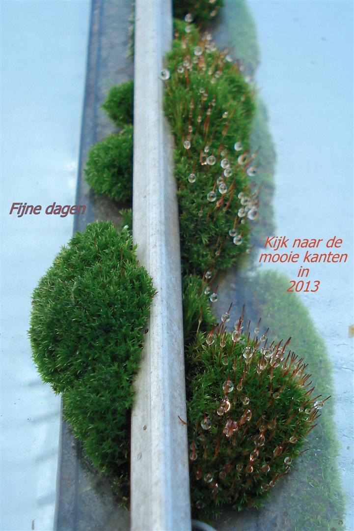 "Kijk elke dag, als het kan met een lach!"