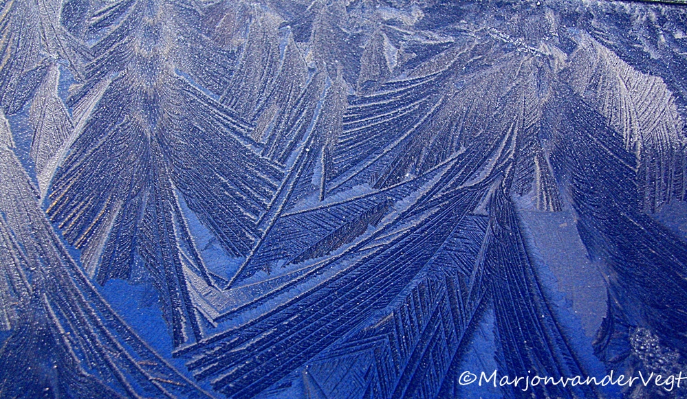 bladeren zo schoon...