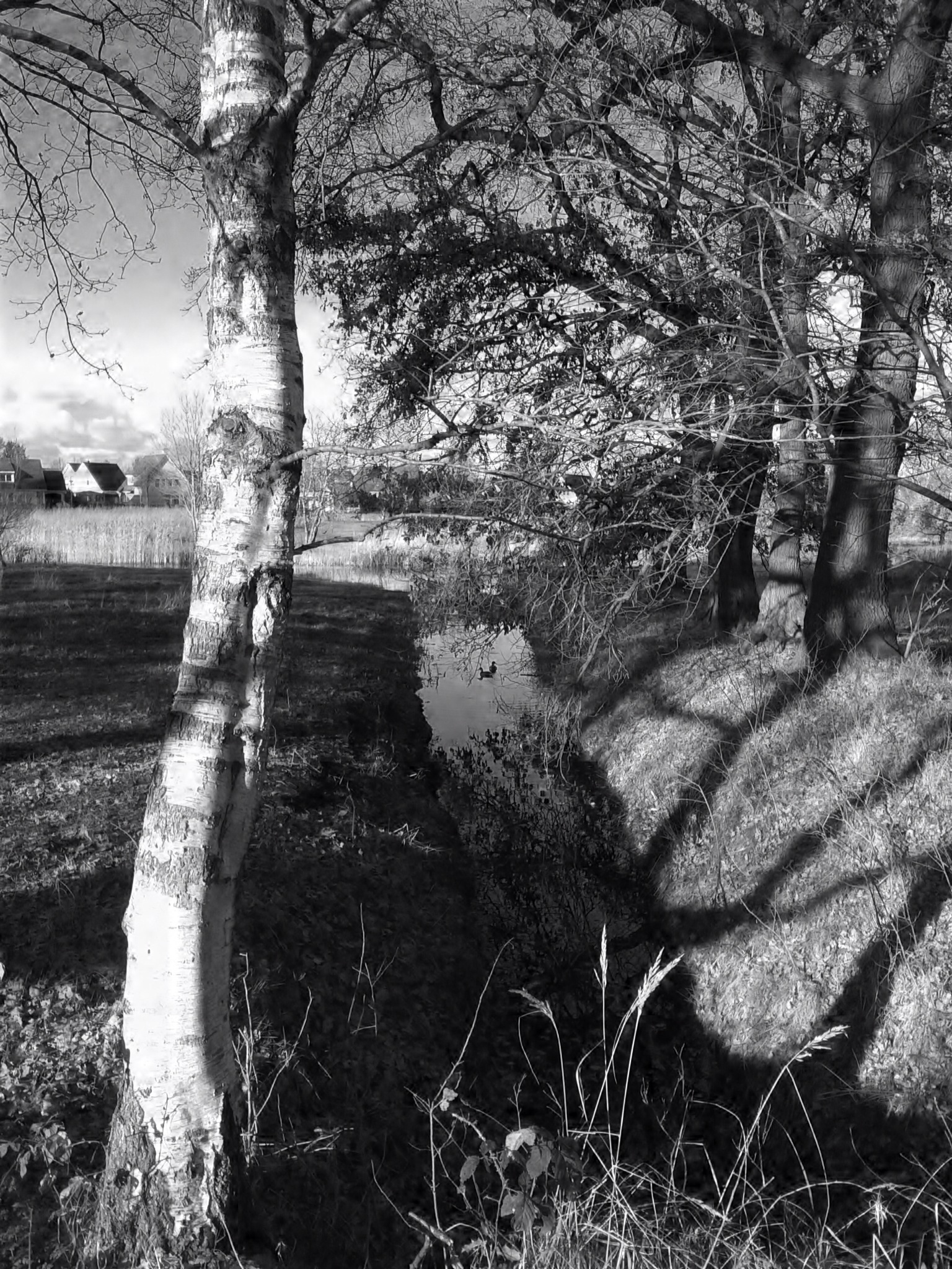 Late herfst
