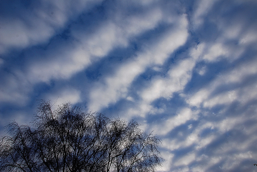 Altocumuluswolke...