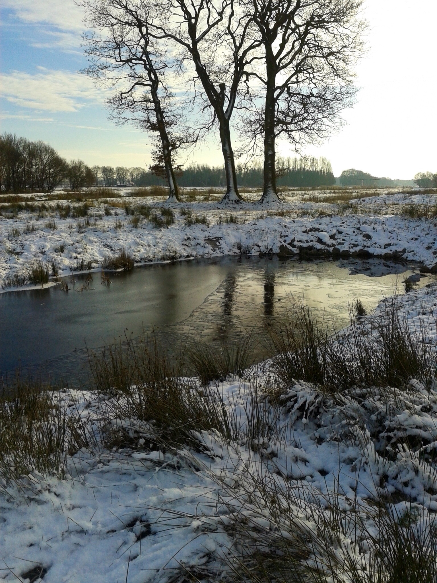 Winter