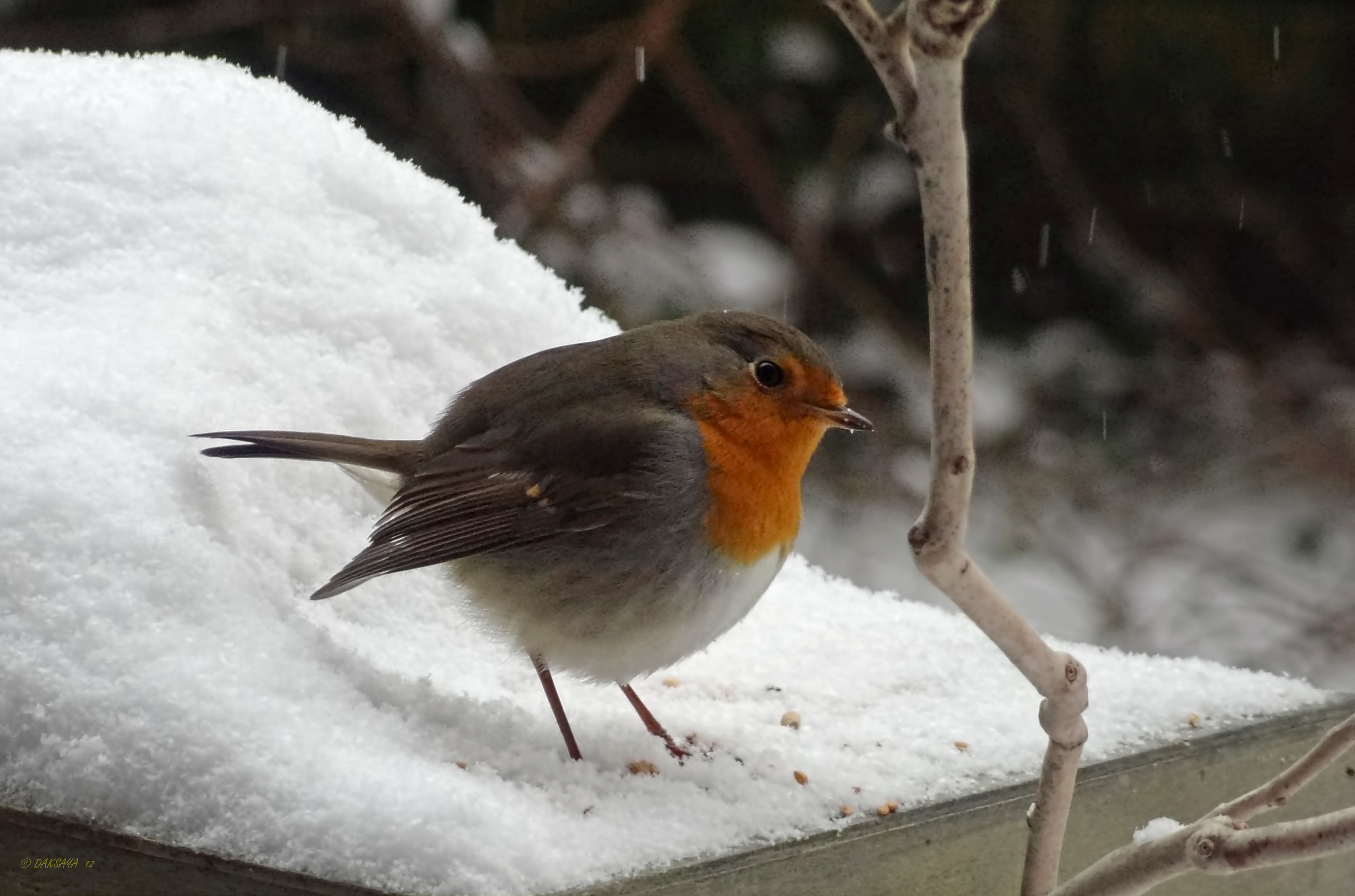 Flink pak sneeuw