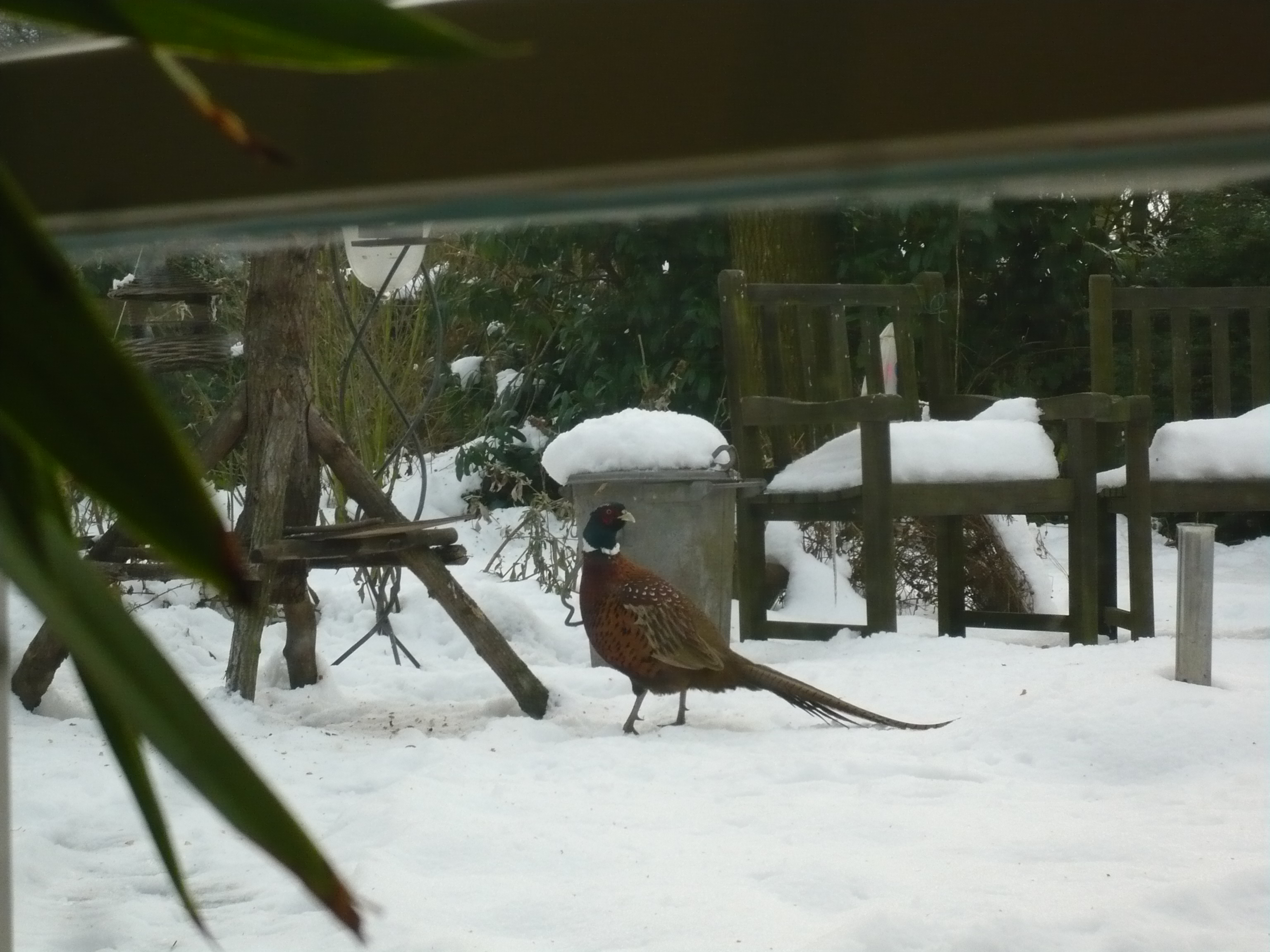Dicht bij huis is het warmer