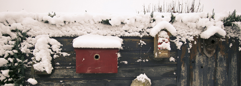 besneeuwde...