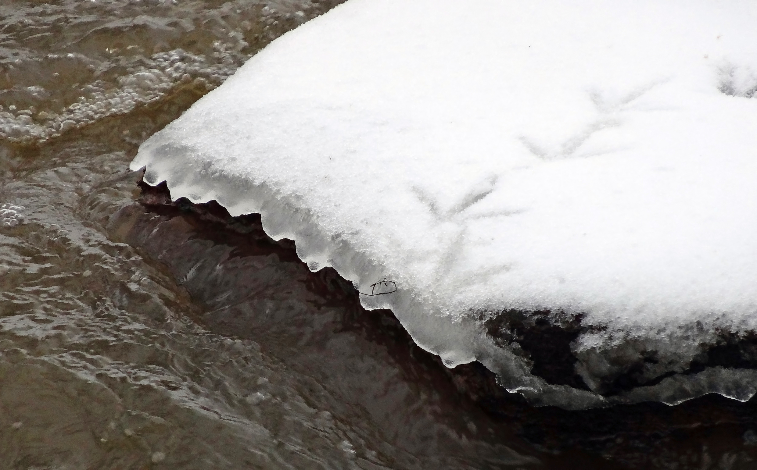Wiens sporen zijn dit?