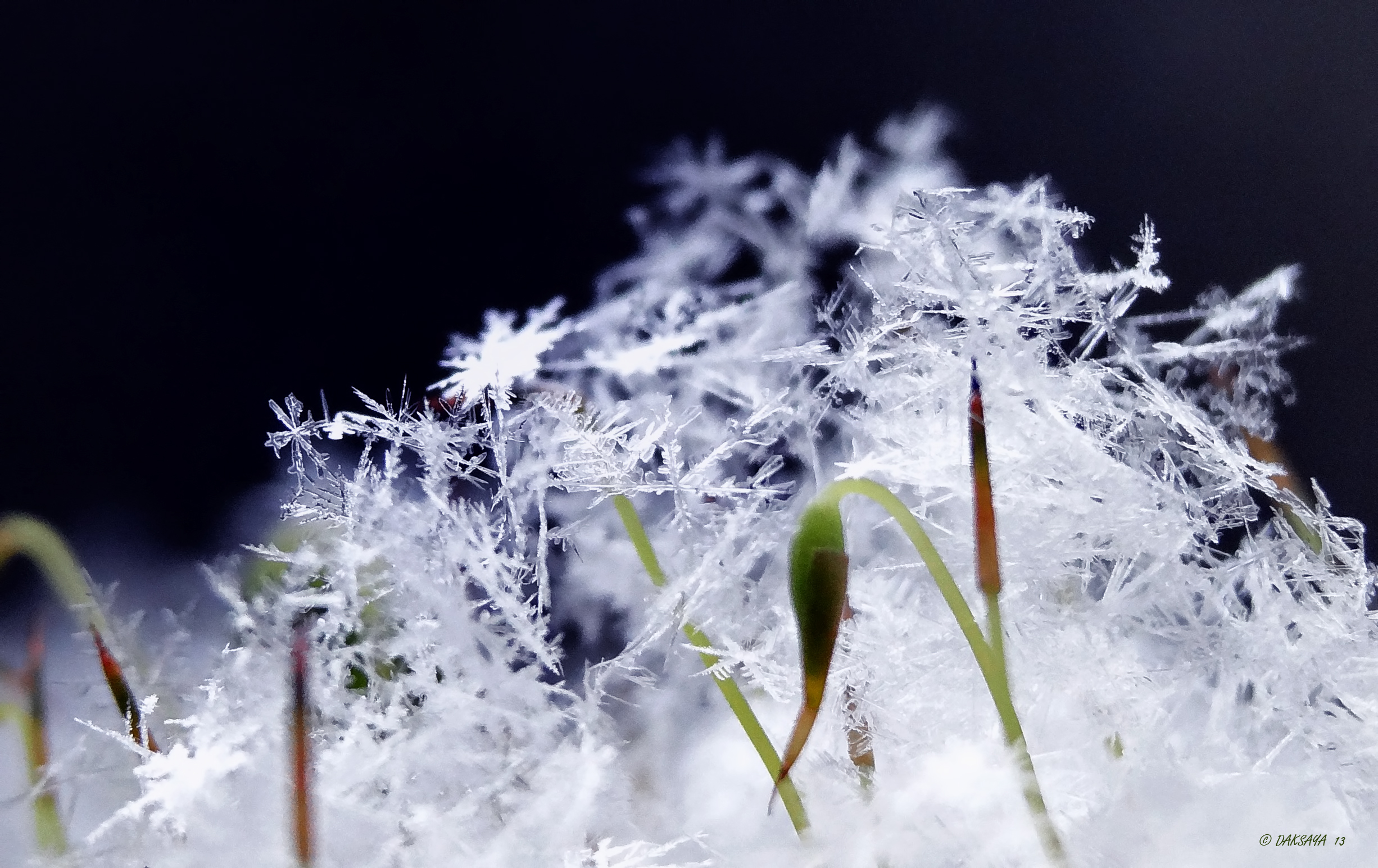 Sneeuwkristallen...