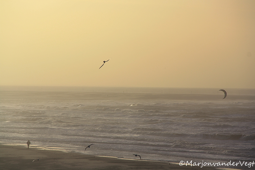 Op z'n kop door de wind :)