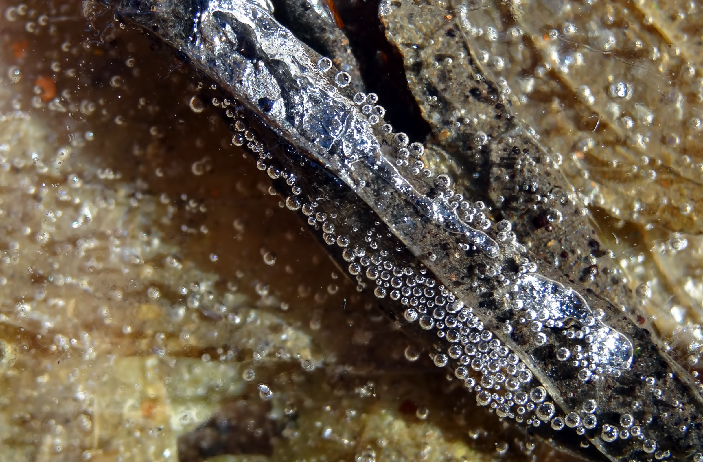 Bevroren luchtbelletjes