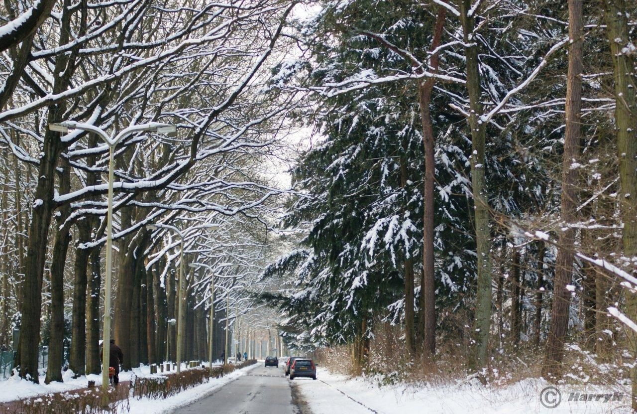 Winter(omgeving Tilburg)