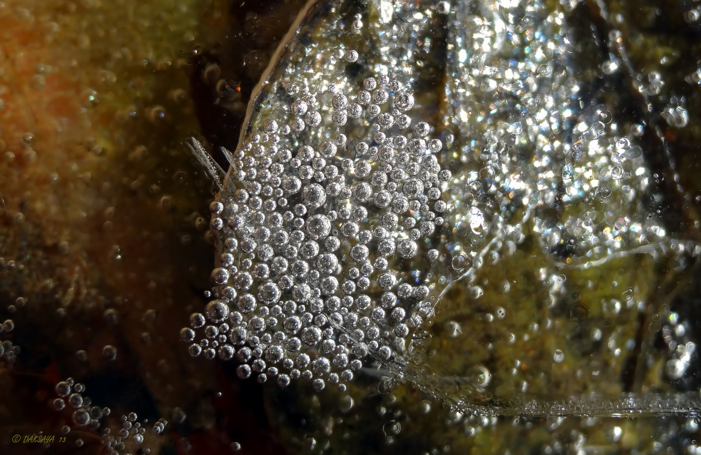 Bevroren luchtbelletjes