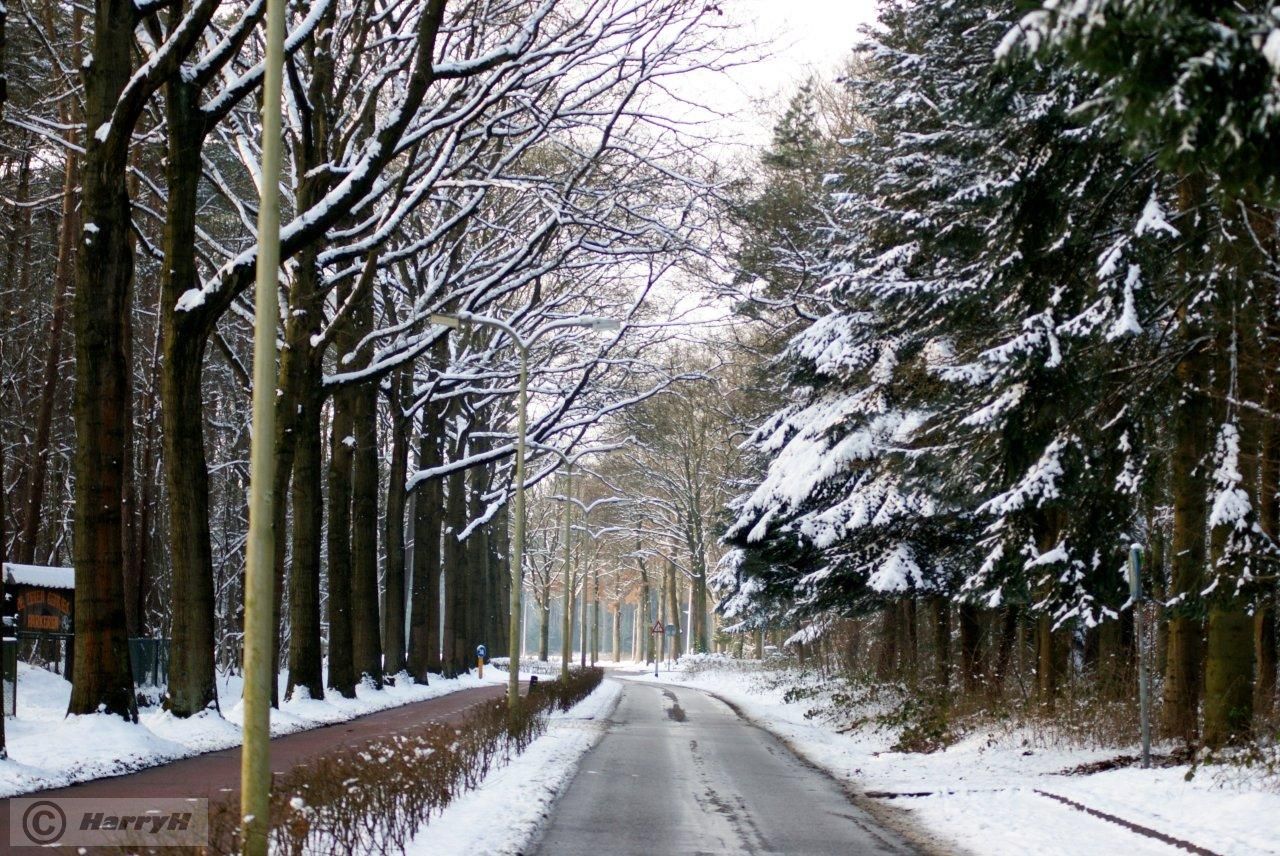 Winter(omgeving Tilburg)