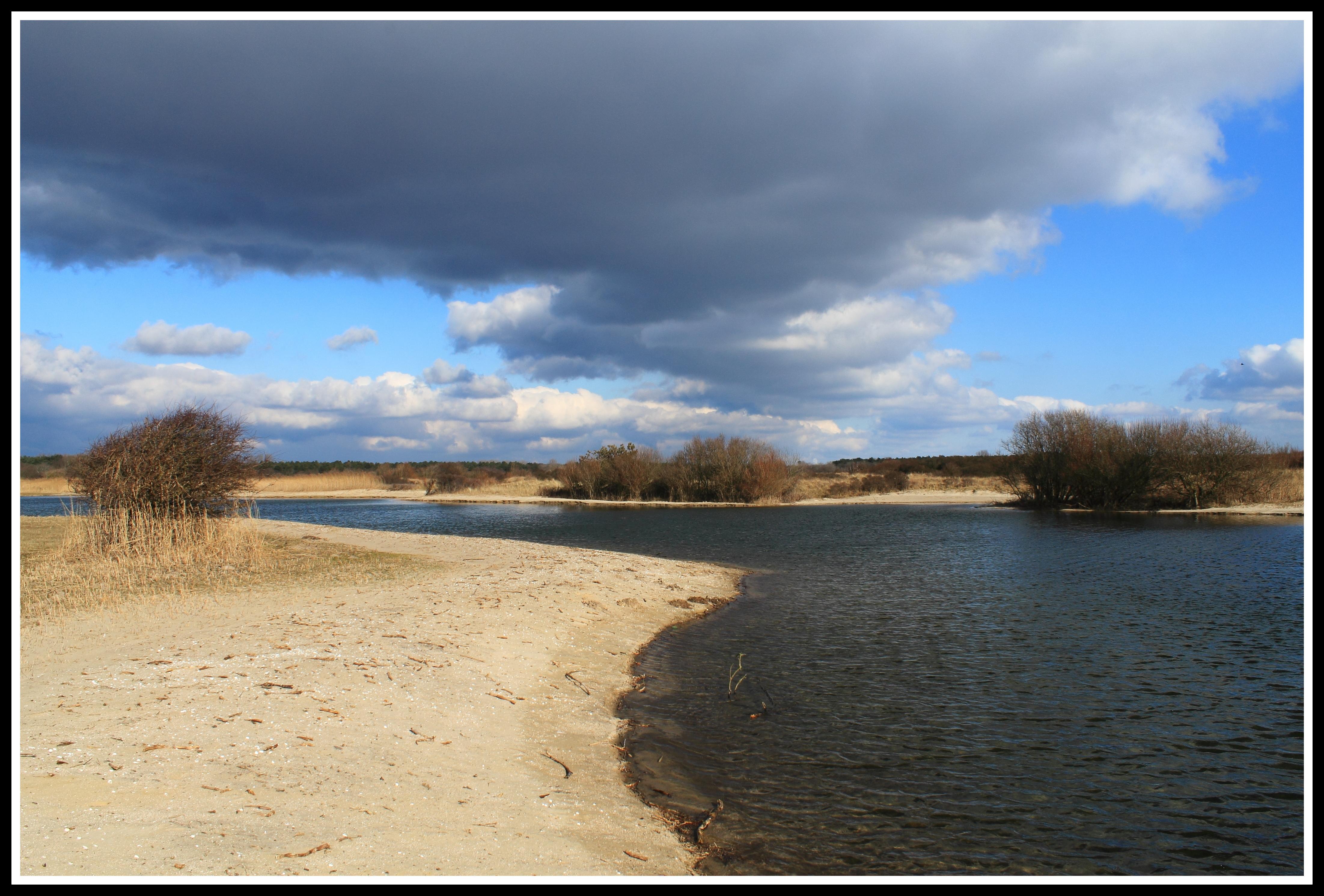 Castricumse duingebied.