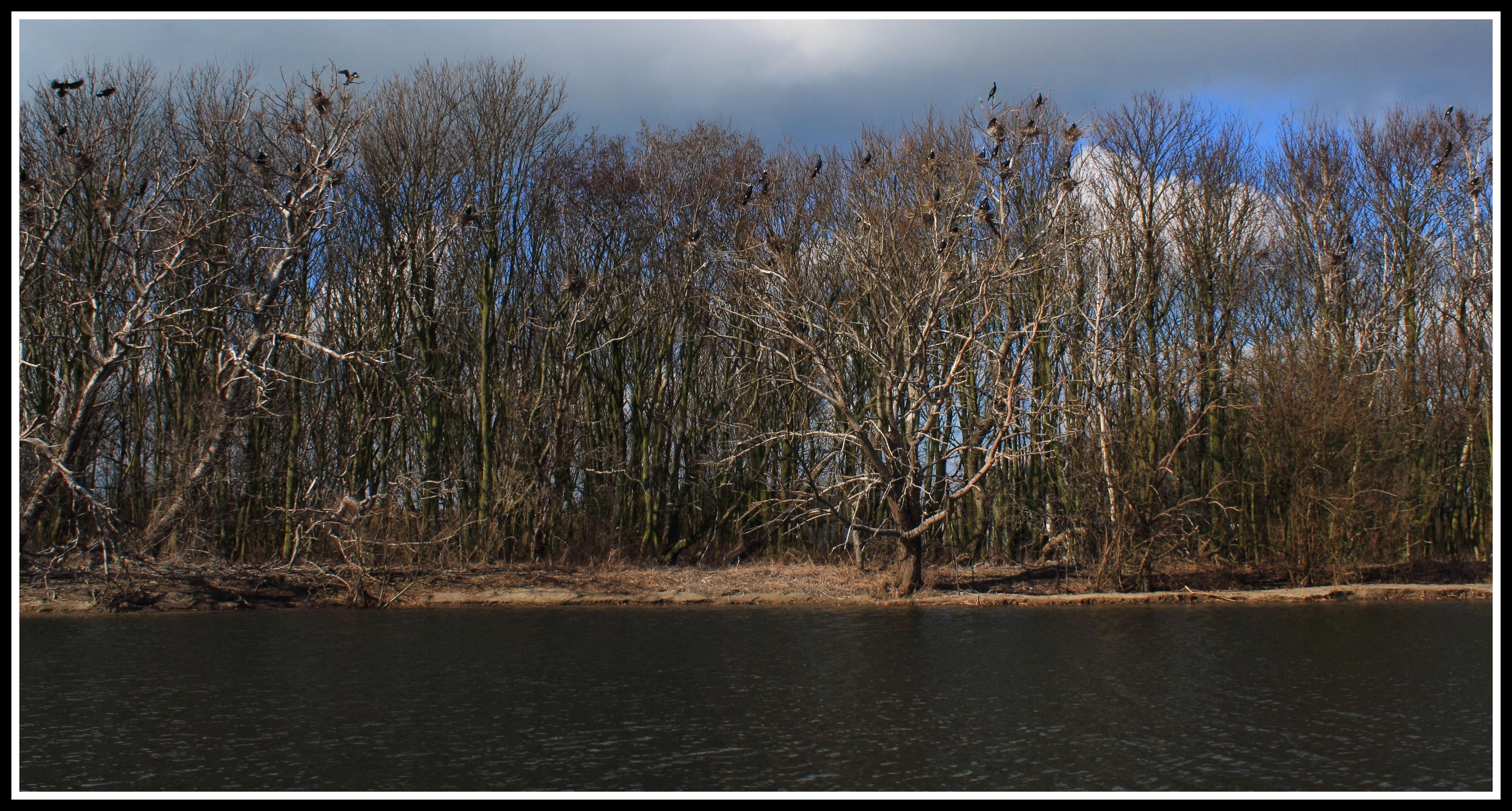 Castricumse duingebied.