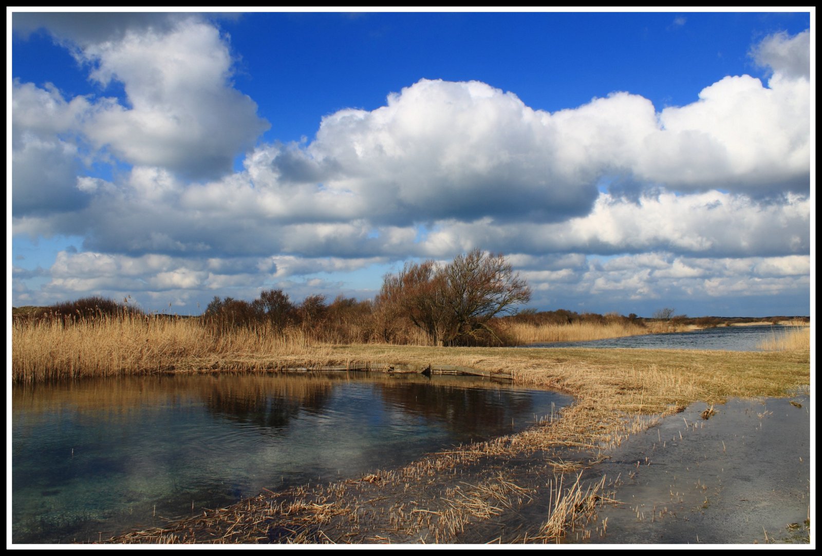 Castricumse duingebied.