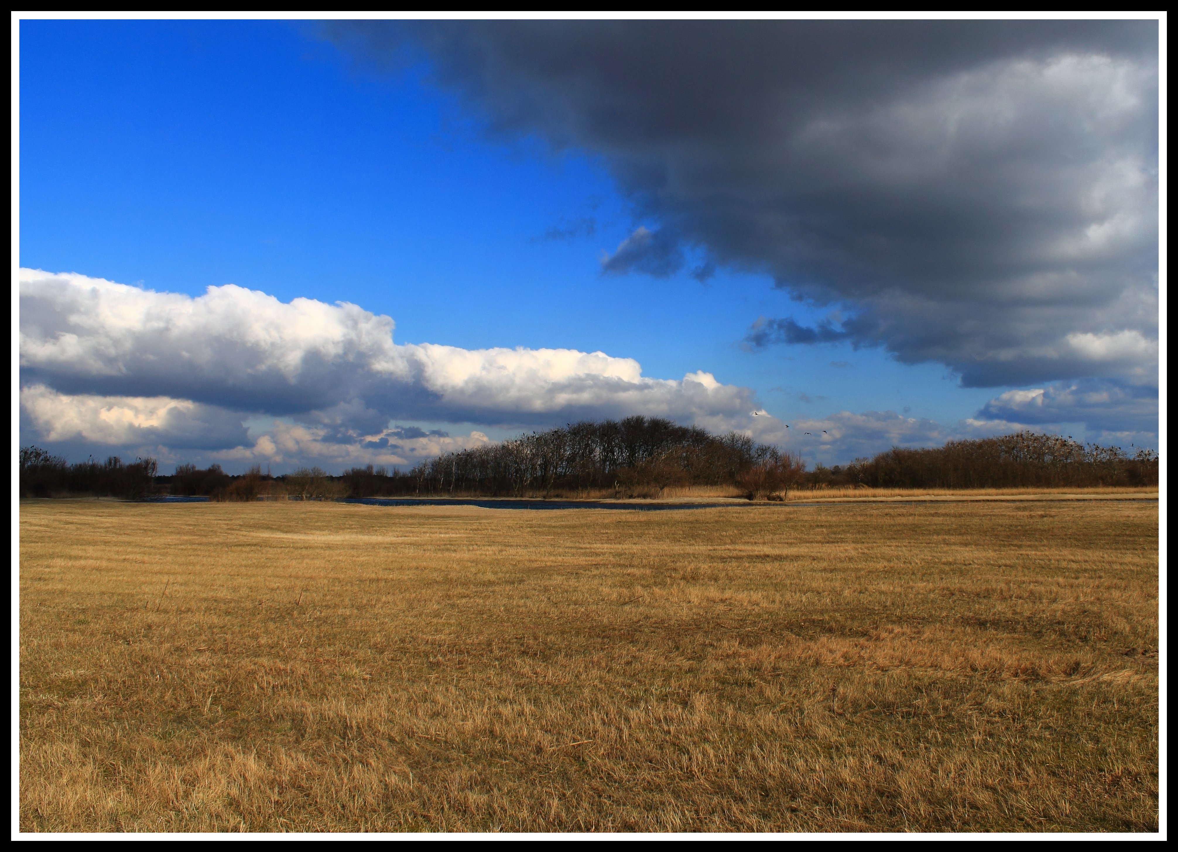 Castricumse duingebied.