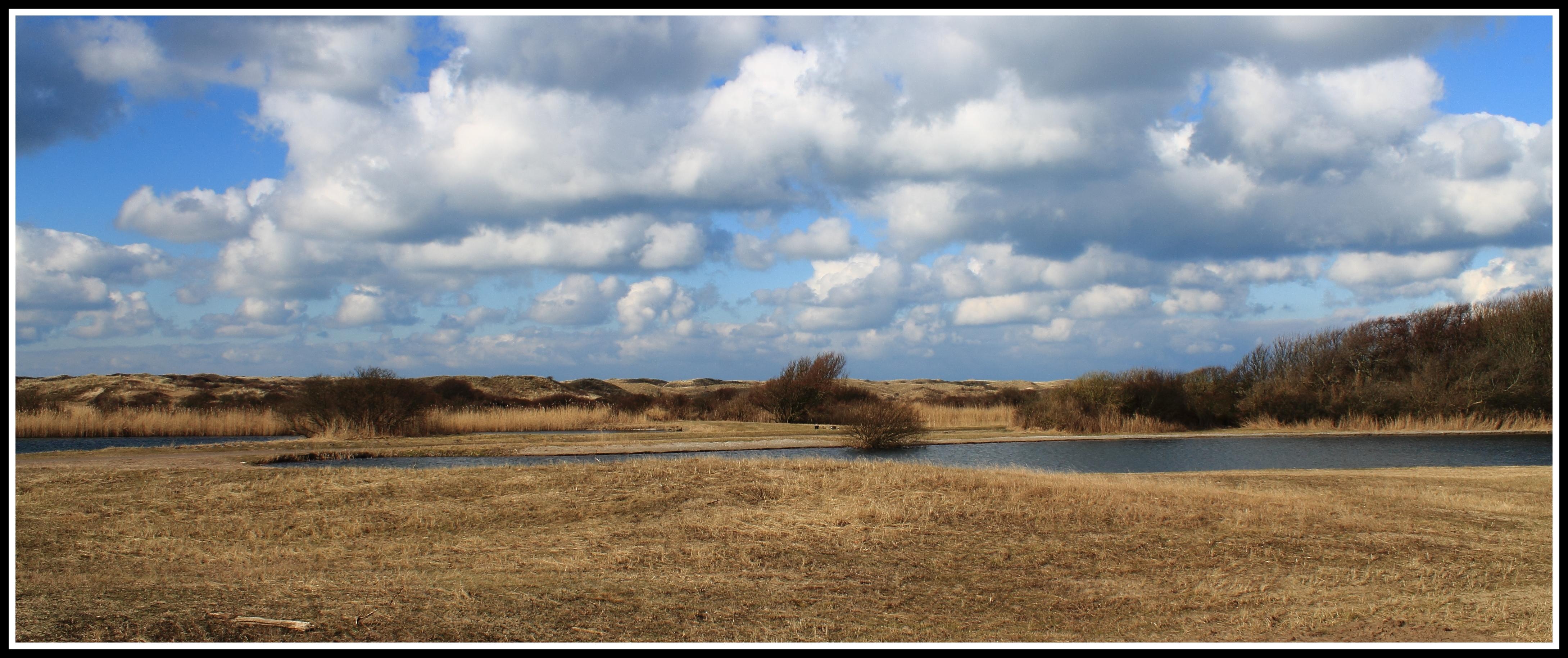 Castricumse duingebied.