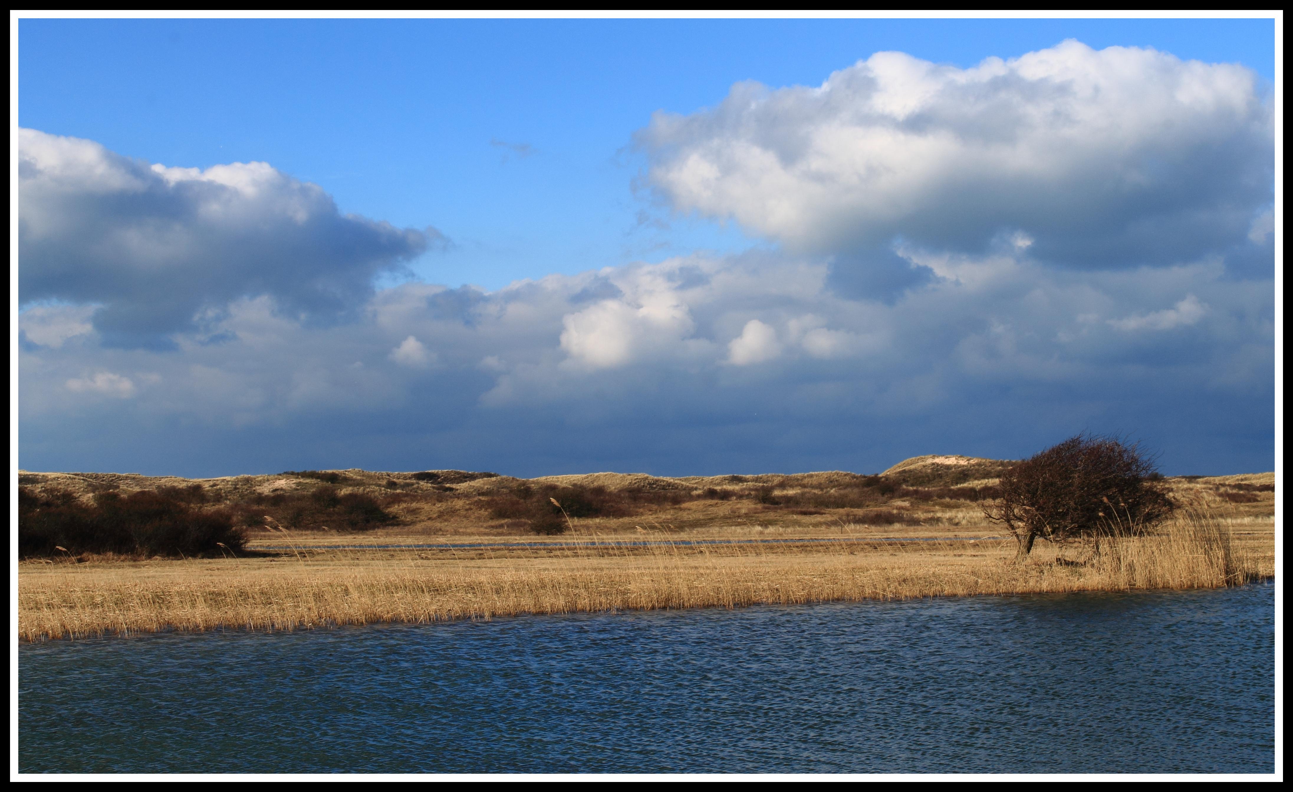 Castricumse duingebied.