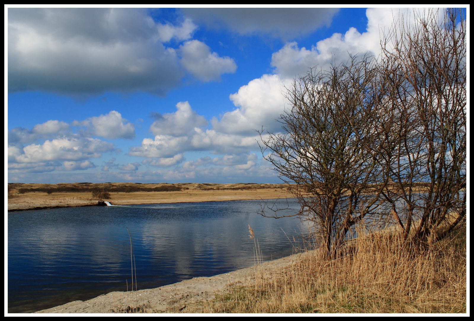 Castricumse duingebied.