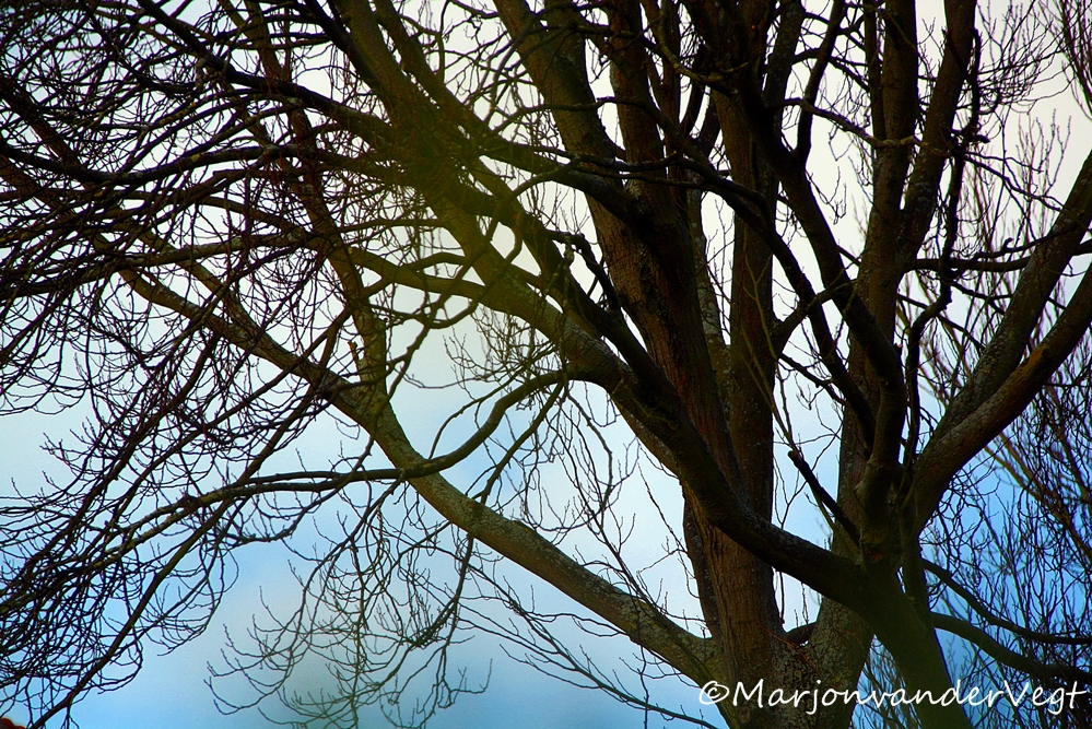 Voorjaar komt u maar :)