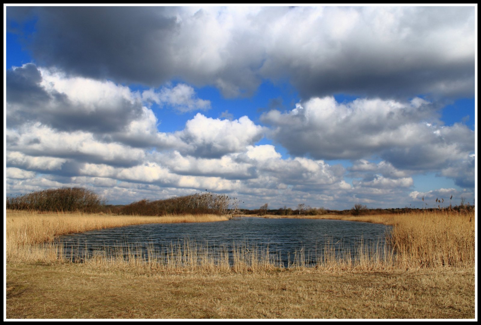 Castricumse duingebied.