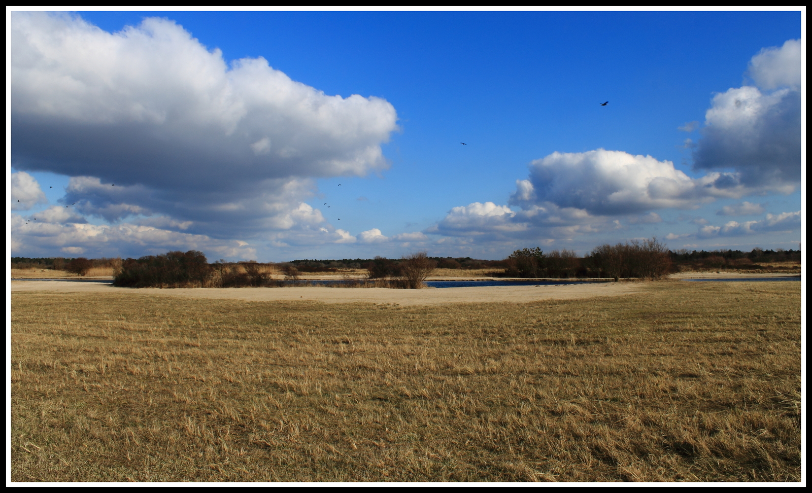 Castricumse duingebied.