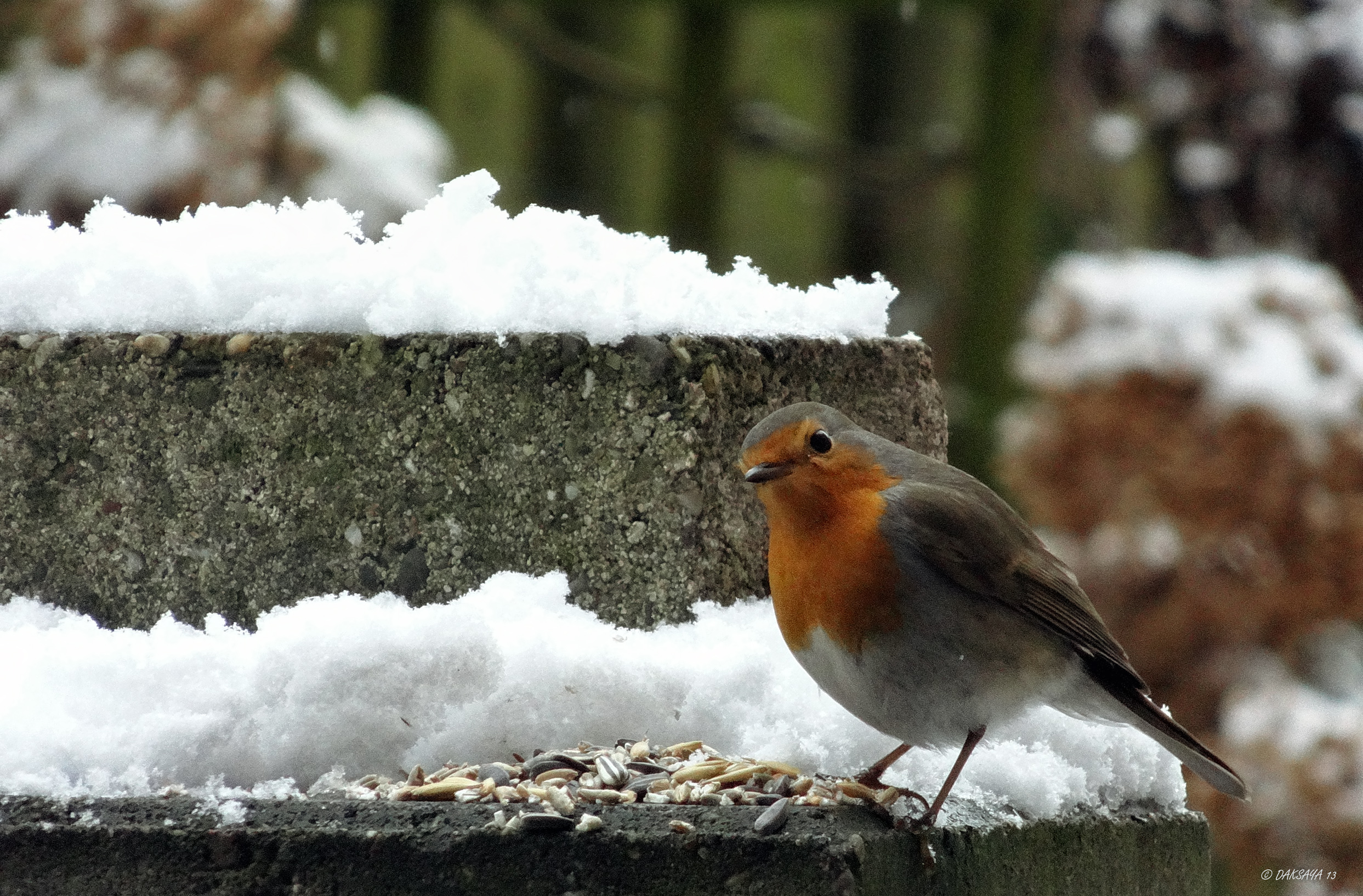 Laatste sneeuw?