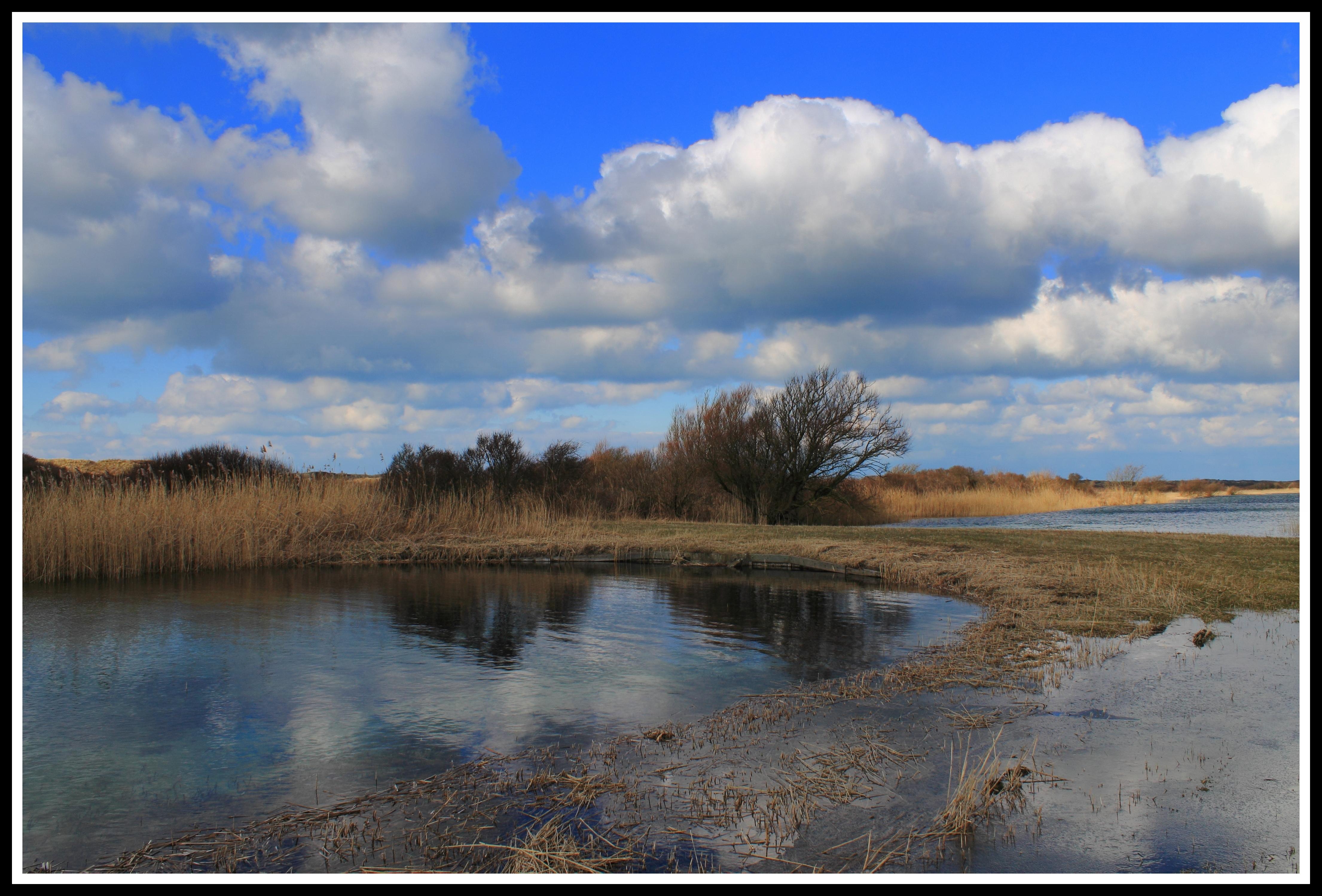 Castricumse duingebied.