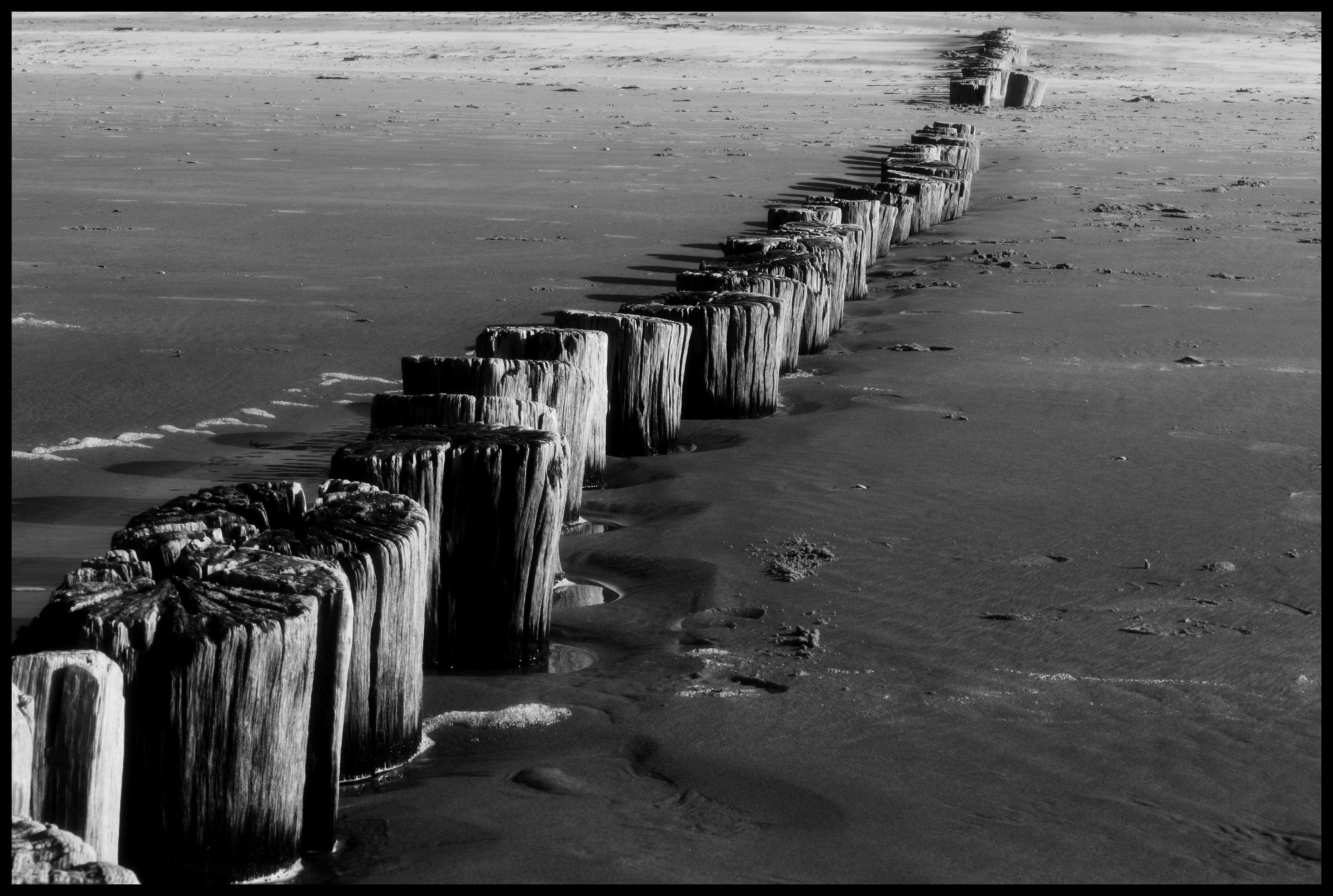 Strand Bergen aan Zee.