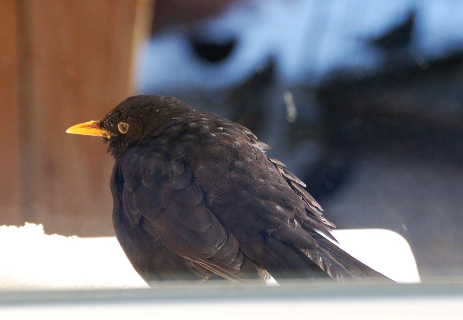 Merel heeft het koud.