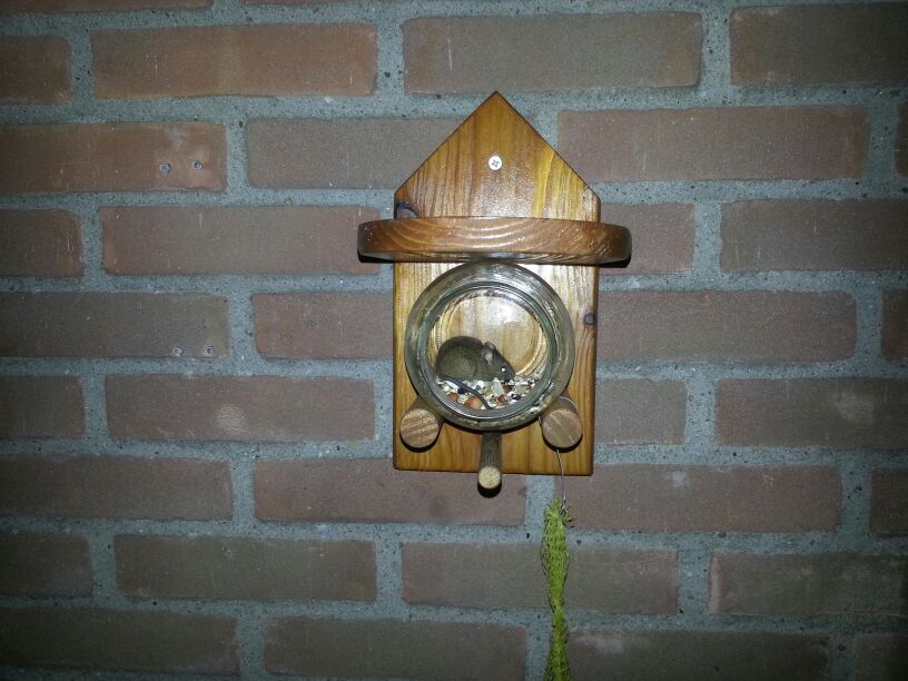 De een traag, de ander graag