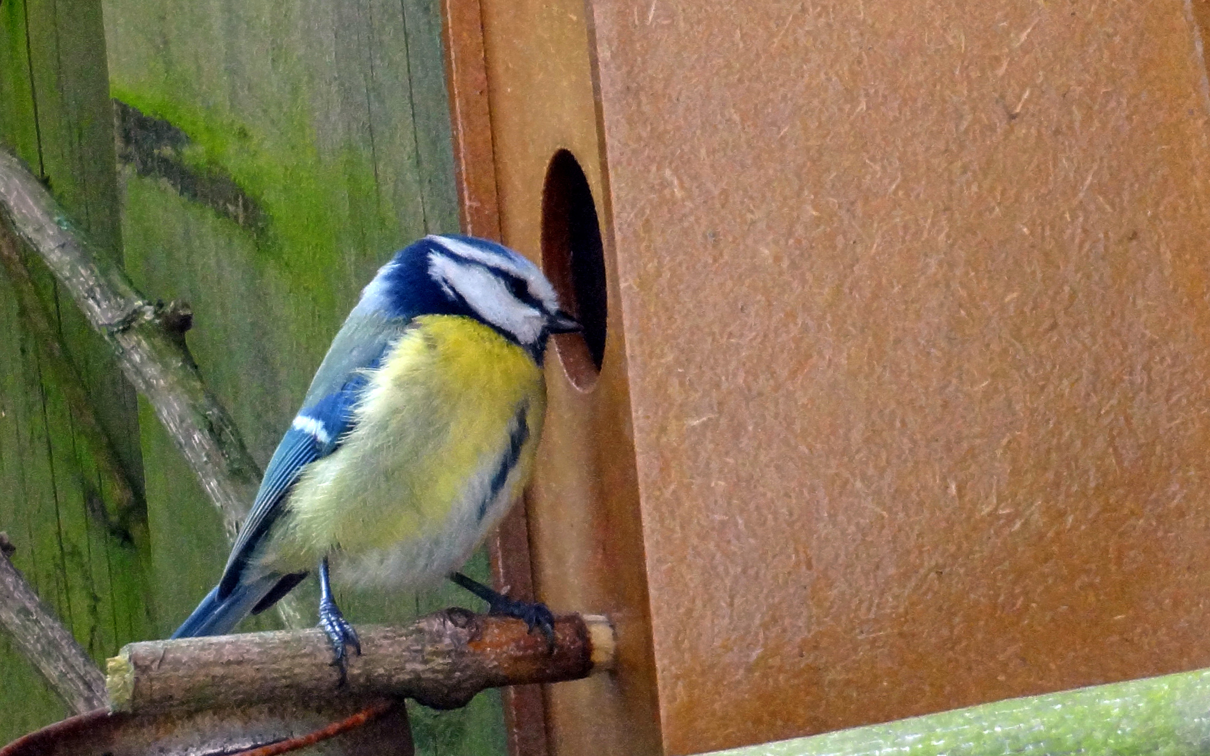 Hallo, is er iemand thuis?