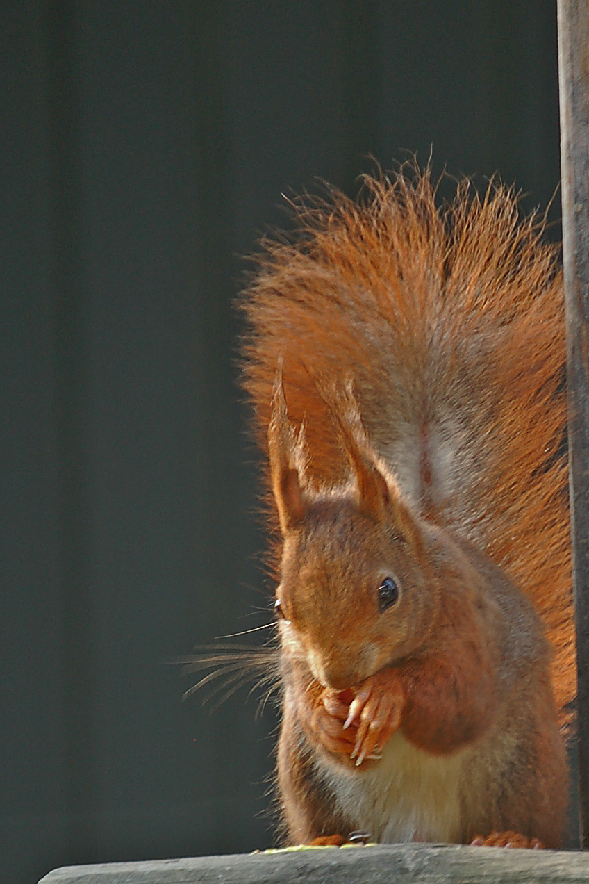 Ga weg, ik hoef er niet op.