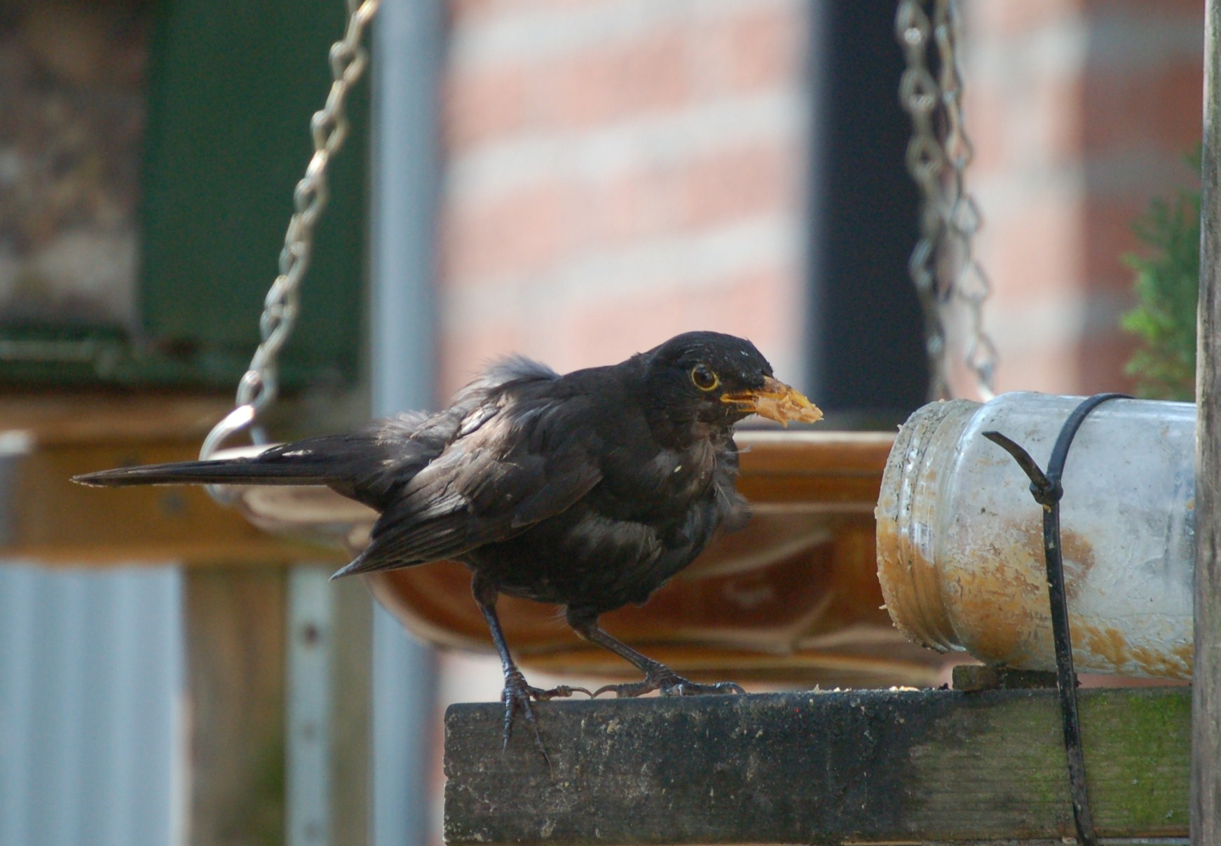 Getverderrie dat plakt .....