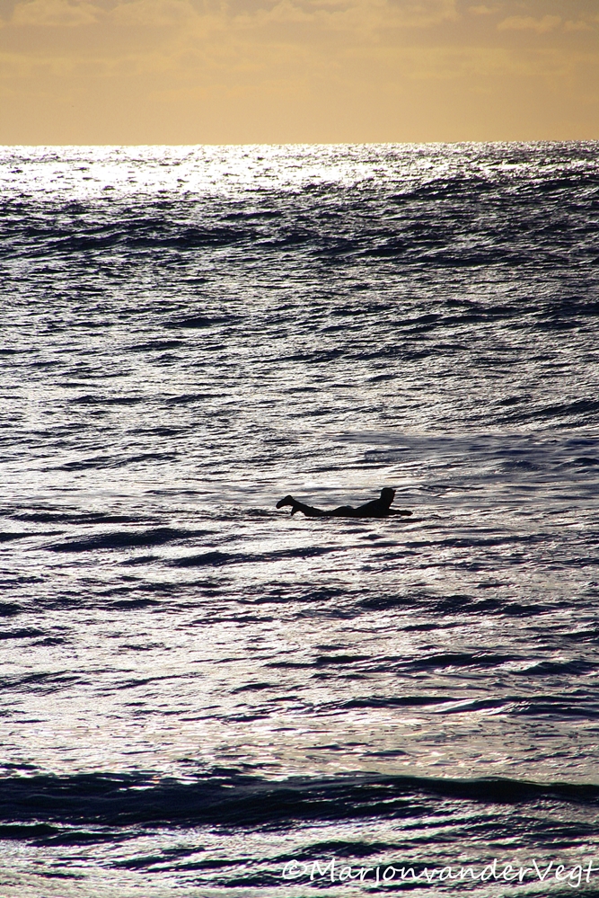 Spelen met de elementen der natuur