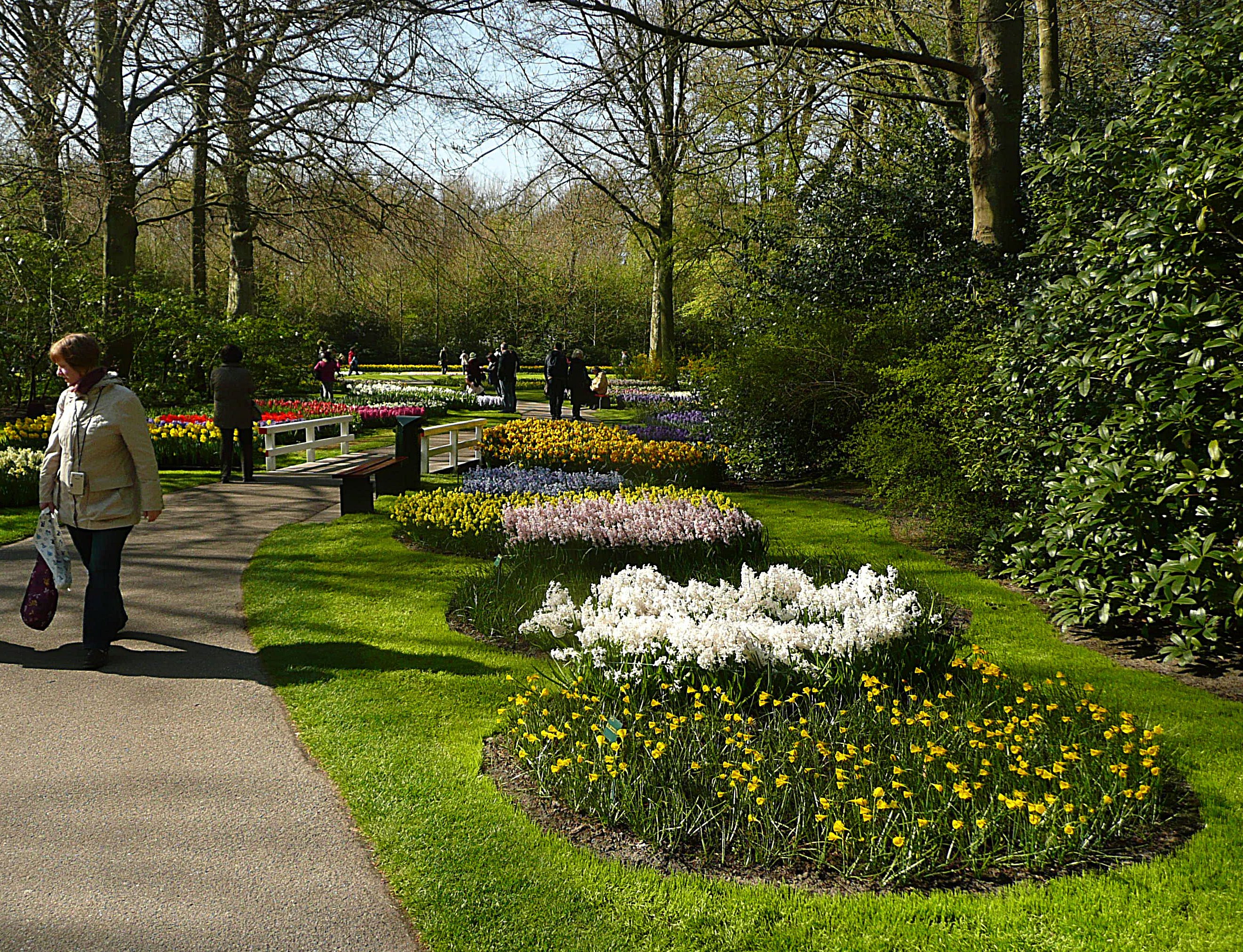 Keukenhof 11