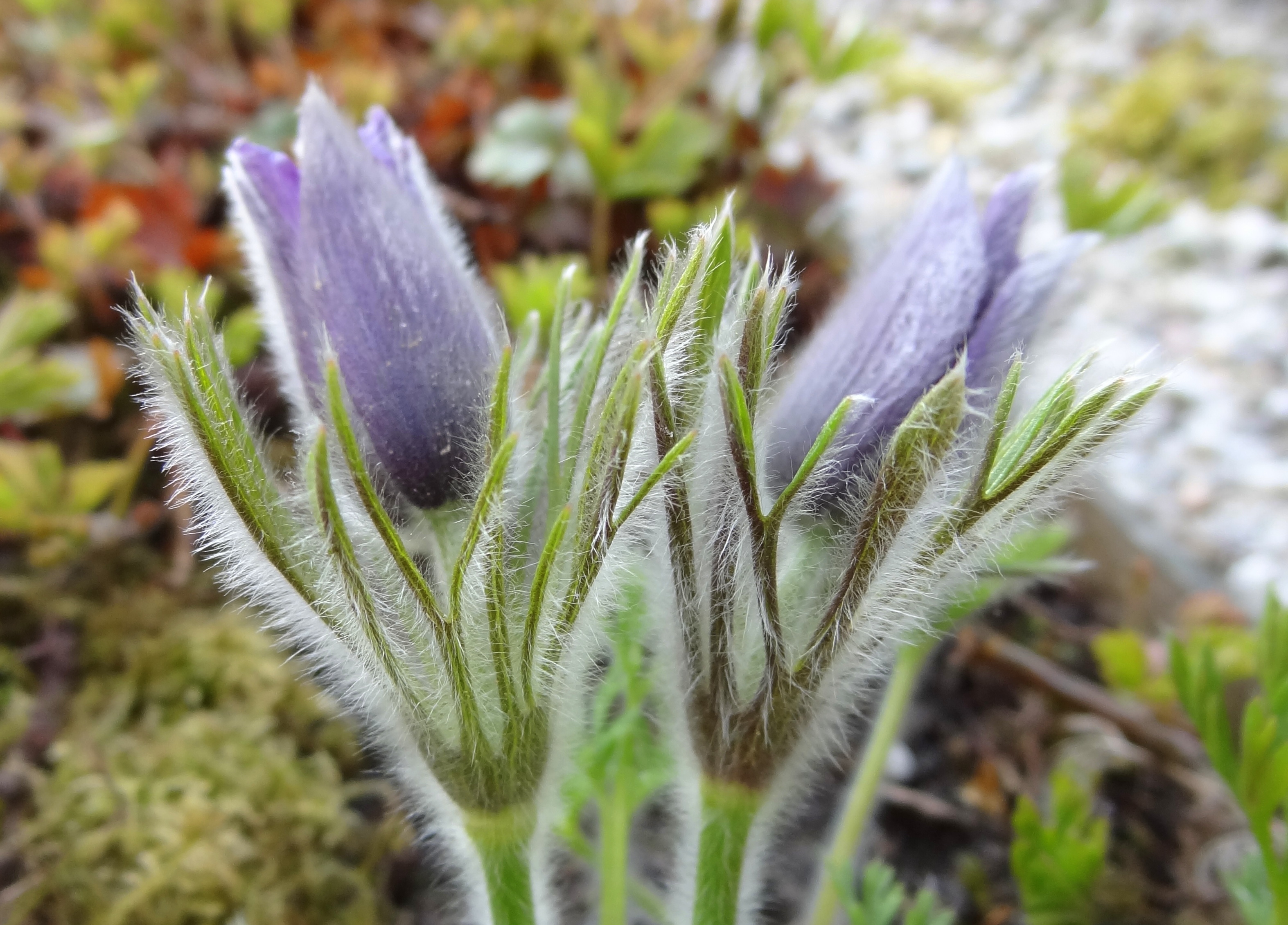 Spreekt voor zichzelf!