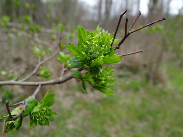 Het wordt gelukkig weer groen!